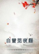 白雪芜夜阑《白雪芜夜阑》小说完