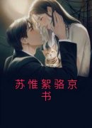 苏惟絮骆京书主角是苏惟絮骆京书
