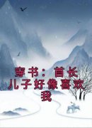 快手热推《穿书：首长儿子好像喜