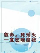 辛欣心杨帆是哪本小说主角 《救命