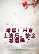 青玉唐唐的小说《糟糕！带崽出逃