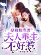 总裁被虐哭，夫人重生不好惹在哪