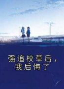 抖音小说《强追校草后，我后悔了