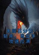 钰老贼写的小说天赋百分比斩杀，