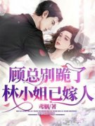 老书虫力荐《顾总别跪了，林小姐