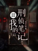 《至暗森林：我的刑侦笔记》章节