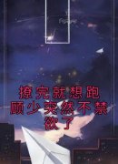 高质量小说撩完就想跑顾少突然不