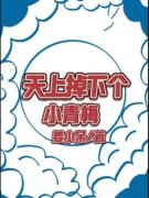 《天上掉下个小青梅》快手热推韩