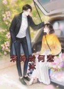 热文宋诗龄何悲沐小说-主角宋诗龄