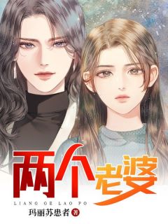 书荒必备《两个老婆》全文章节阅读