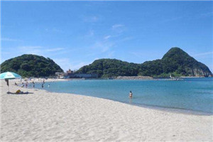 潸然泪下岳青阳岳可儿小说阅读，