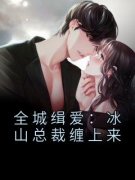 精品小说全城缉爱：冰山总裁缠上