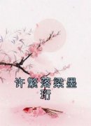 抖音完结《许繁落梁墨珩》许繁落