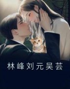 林峰刘元吴芸小说百度云完整章节