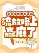 主角苏米宝苏镇北的小说作者梵茀