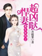 夏染染沈聿全集小说_重生年代之悍