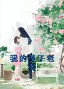 岁岁平安最新小说《我的傻子老婆