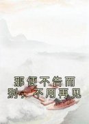 抖音完结《那便不告而别，不用再