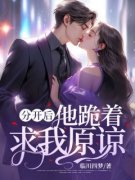 私藏读物《分开后，他跪着求我原