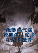 刘均杨战《他得血气运行图后，武