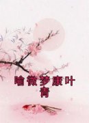 喻微梦康叶青喻微梦康叶青大结局