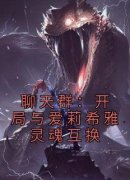 全章节小说聊天群：开局与爱莉希