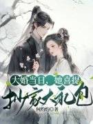 《大婚当日，她喜提抄家大礼包》