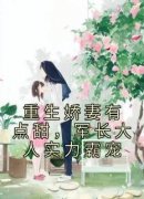 抖音小说重生娇妻有点甜，军长大