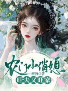 农门小俏媳，旺夫又旺家小说(完整