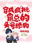 私藏读物《叶南枝陆云起云舒》云