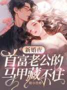 《新婚夜，首富老公的马甲藏不住