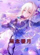 抖音雨念暖月txt小说阅读