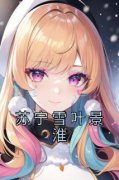 主角是苏宁雪叶景淮的小说叫什么