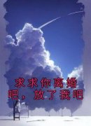 求求你离婚吧，放了我吧全本小说