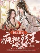 南璃夜司珩小说结局