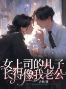 无广告小说女上司的儿子，长得像