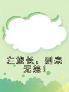 【新书】《左旅长，别来无恙！》