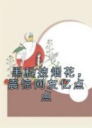 《黑科技烟花，震惊网友亿点点》