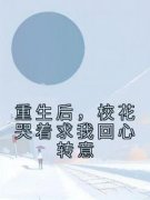 重生后，校花哭着求我回心转意小