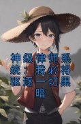 抖音热推小说《神级律师系统：我