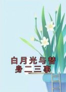 高质量小说白月光与替身二三事在