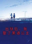 出狱后，我娶了黑道公主小说的书