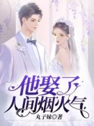 知乎小说他娶了人间烟火气主角是