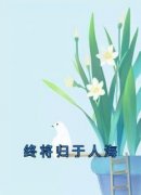《终将归于人海》章节全目录 陆尔