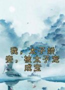 正版小说《我，太子娇妾，被太子