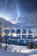 打不赢怎么办？只好选择攻略了（