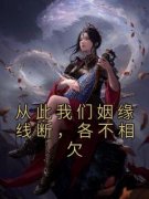 全章节小说从此我们姻缘线断，各