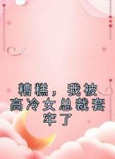 陈煜颜若曦颜世豪小说哪里可以看