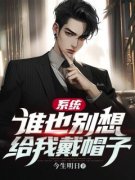 系统：谁也别想给我戴帽子全集小