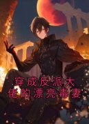 《穿成反派大佬的漂亮毒妻》沈清